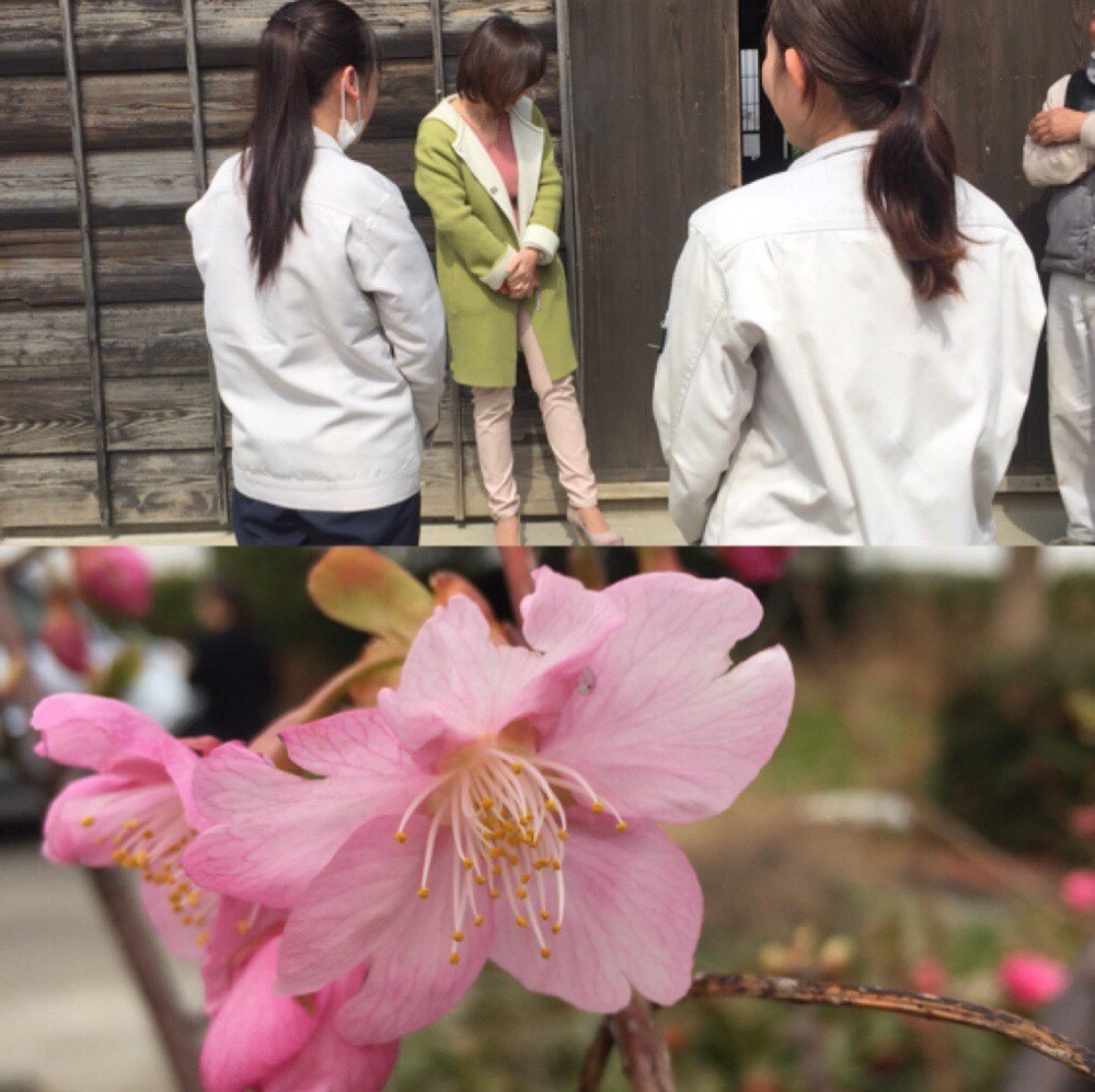 菊会社での定期訪問